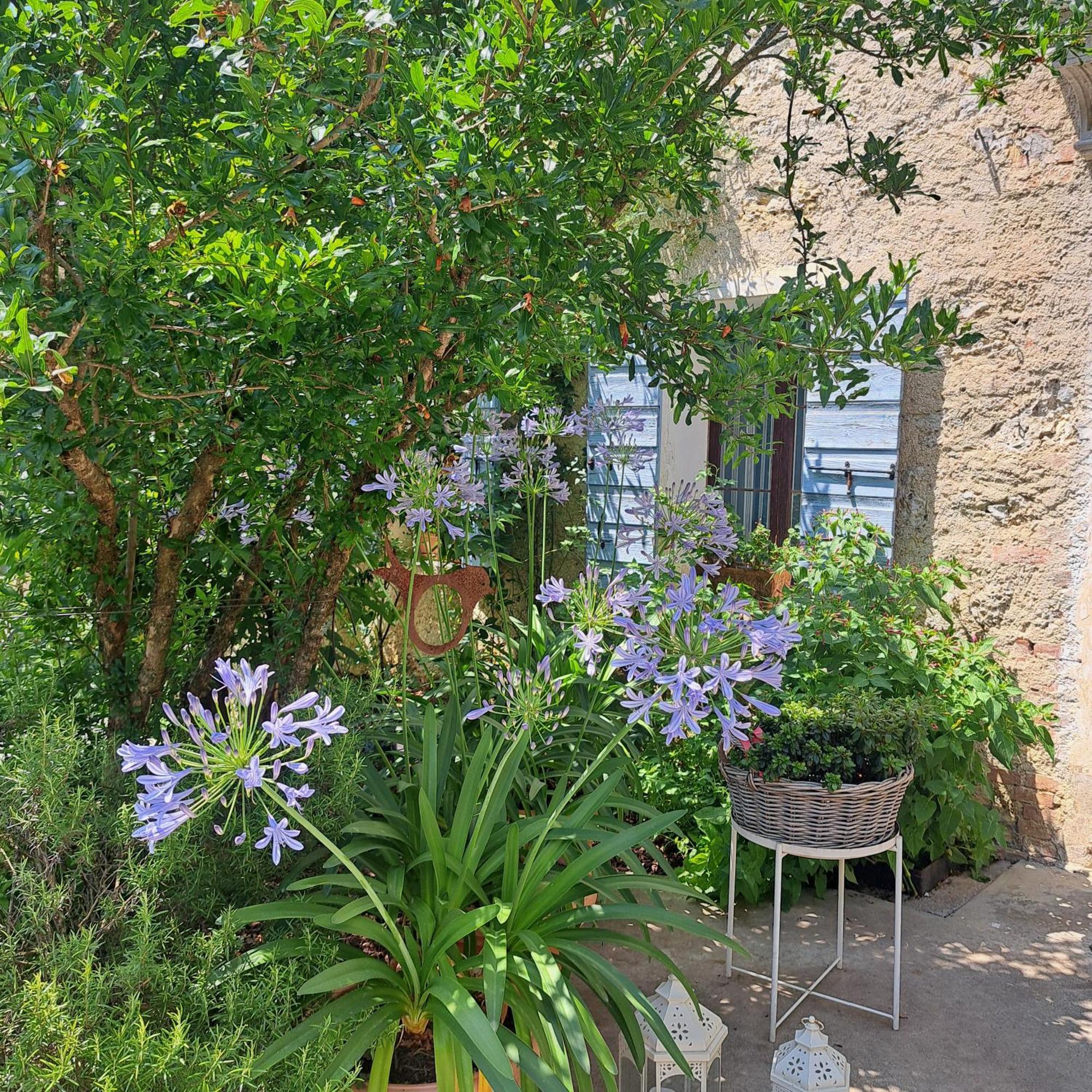 Casadesergio Refrontolo Exterior photo